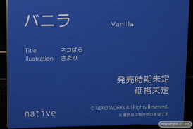 第13回 ネイティブグループ合同展示会（エロホビ） エロ フィギュア キャストオフ ネイティブ ネコぱら バニラ さより 19