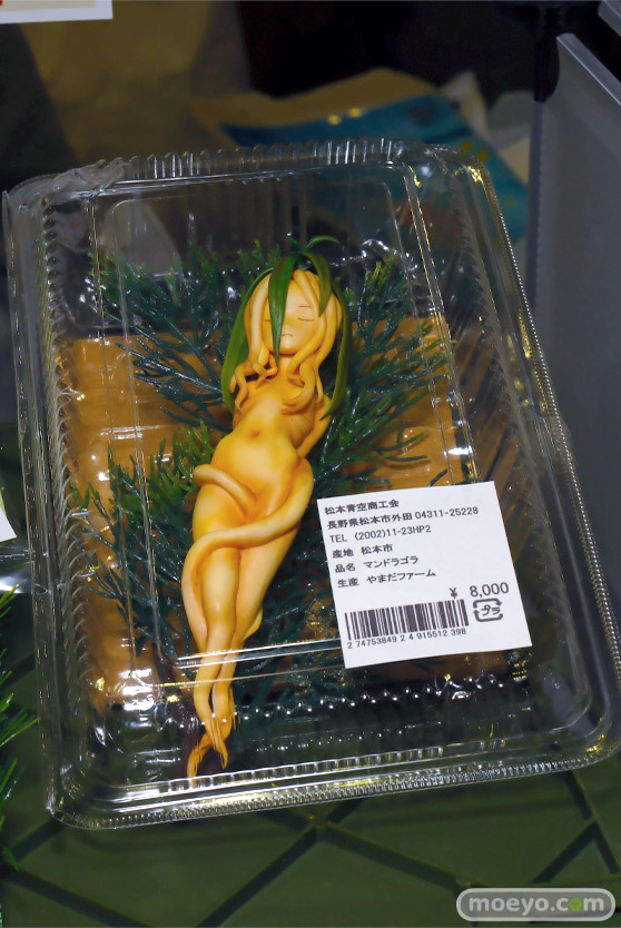 ワンダーフェスティバル2026 [冬] フィギュア K2b polygonia ザリの巣 30