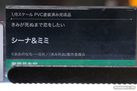 秋葉原の新作フィギュア展示の様子 2026年4月25日 あみあみ 秋葉原ラジオ会館店 ブレッディ シーナ ミミ 高潔カナン 12