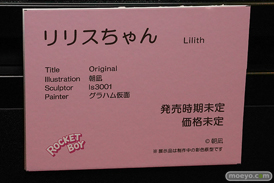 第13回 ネイティブグループ合同展示会（エロホビ） エロ フィギュア キャストオフ ロケットボーイ 朝凪 リリスちゃん Is3001 グラハム仮面 32