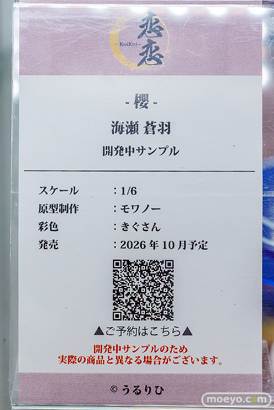 秋葉原の新作フィギュア展示の様子 2026年5月30日 あみあみ 秋葉原ラジオ会館店スティレット ライザ すーぱーそに子 12