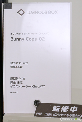 グッドスマイルフェス 2026 東京 フィギュア LUMINOUS BOX ウェーブ エーギル すーぱーそに子 岡田ユリコ 13
