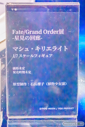 Fate／Grand Order展 -星見の回廊- 森アーツセンターギャラリー マシュ・キリエライト 石長櫻子 14