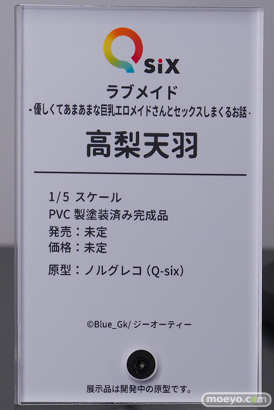 ワンダーフェスティバル2026 [夏]  フィギュア キャストオフ エロ Q-six スィーリア 高梨天羽 アンネローゼ 姫乃アカリ 10
