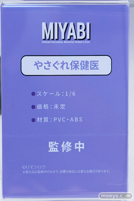 ワンダーフェスティバル2026 [夏]  フィギュア キャストオフ エロ Miyabi ジェントルメン プレアデス HOTVENUS 青山 李依那 やさぐれ保健医 ギャングシスタ 闇のエルフ 04