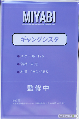ワンダーフェスティバル2026 [夏]  フィギュア キャストオフ エロ Miyabi ジェントルメン プレアデス HOTVENUS 青山 李依那 やさぐれ保健医 ギャングシスタ 闇のエルフ 08