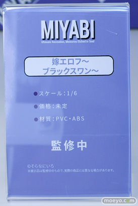 ワンダーフェスティバル2026 [夏]  フィギュア キャストオフ エロ Miyabi ジェントルメン プレアデス HOTVENUS 青山 李依那 やさぐれ保健医 ギャングシスタ 闇のエルフ 39