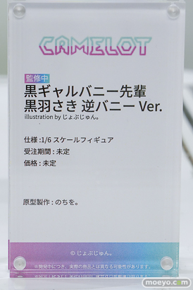 ワンダーフェスティバル2026 [夏]  フィギュア キャストオフ エロ CAMELOT バイトちゃん しずくちゃん らくがきちゃん 黒羽さき 14