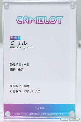 ワンダーフェスティバル2026 [夏]  フィギュア キャストオフ エロ CAMELOT 一夜ちゃん 褐色サキュバスちゃん ミリル 双子バニー 14