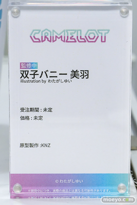 ワンダーフェスティバル2026 [夏]  フィギュア キャストオフ エロ CAMELOT 一夜ちゃん 褐色サキュバスちゃん ミリル 双子バニー 19