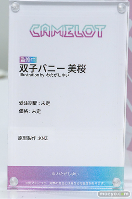ワンダーフェスティバル2026 [夏]  フィギュア キャストオフ エロ CAMELOT 一夜ちゃん 褐色サキュバスちゃん ミリル 双子バニー 22