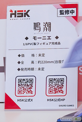 ワンダーフェスティバル2026 [夏]  フィギュア Hobby sakura 勝利の女神：NIKKE アニス：スター ダイブロス・コア コンロン・不朽-雪と暖泉 バイパー イラスト ver 冬山あさこ：サマービーチデート 12