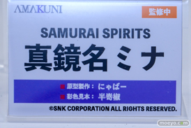 ワンダーフェスティバル2026 [夏]  フィギュア AMAKUNI ホビージャパン ラピ：レッドフード 真境名ミナ 剣崎佳澄 24