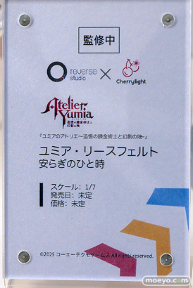 ワンダーフェスティバル2026 [夏]  フィギュア スクウェア・エニックス Reverse Studio Vanya ファイナルファンタジーVII ティファ　スタチュー  ユミア 12