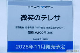 ワンダーフェスティバル2026 [夏]  フィギュア 海洋堂 マリー・ローズ ほのか 初音ミク 28