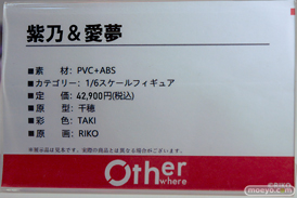 ワンダーフェスティバル2026 [夏]  フィギュア Otherwhere ソフィア・F・シャーリング マジシャンバニーVer. ディーヴァVer. 海瀬蒼羽 17