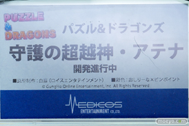 ワンダーフェスティバル2026 [夏]  フィギュア メディコス・エンタテインメント バニーガーデン 花奈 逆バニー 美羽香 凛 19