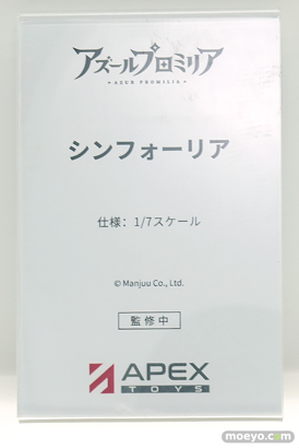 ワンダーフェスティバル2026 [夏]  フィギュア APEX TOYS チャパエフ エセックス 武蔵 04