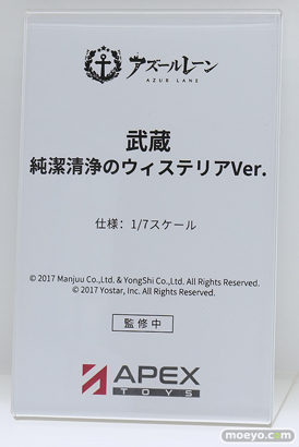 ワンダーフェスティバル2026 [夏]  フィギュア APEX TOYS チャパエフ エセックス 武蔵 21