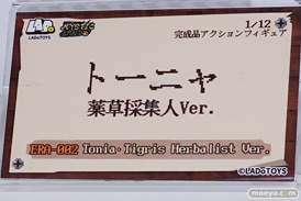 ワンダーフェスティバル2026 [夏]  フィギュア マイルストン 藤野沙夜 ロキシー リヤ 26
