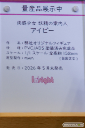 ワンダーフェスティバル2026 [夏]  フィギュア キャストオフ エロ インサイト スカーレット nullちゃん 南瀬さん 15
