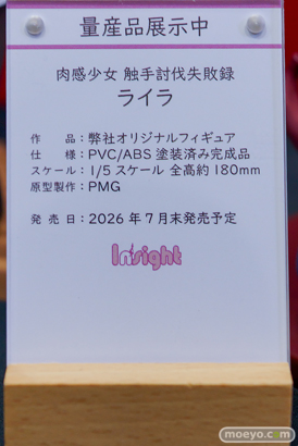 ワンダーフェスティバル2026 [夏]  フィギュア キャストオフ エロ インサイト スカーレット nullちゃん 南瀬さん 18