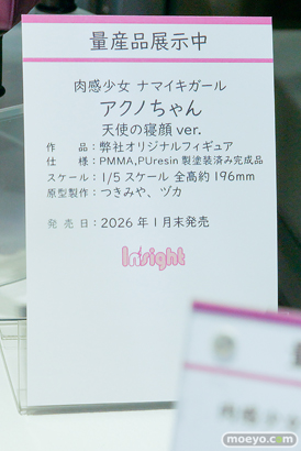 ワンダーフェスティバル2026 [夏]  フィギュア キャストオフ エロ インサイト スカーレット nullちゃん 南瀬さん 27