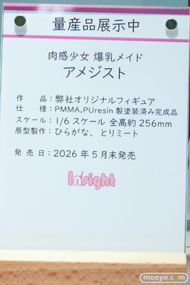 ワンダーフェスティバル2026 [夏]  フィギュア キャストオフ エロ インサイト スカーレット nullちゃん 南瀬さん 43