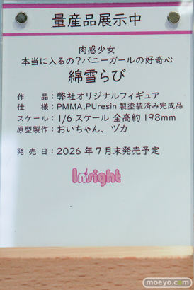 ワンダーフェスティバル2026 [夏]  フィギュア キャストオフ エロ インサイト スカーレット nullちゃん 南瀬さん 46