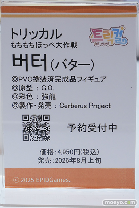 ワンダーフェスティバル2026 [夏]  フィギュア Cerberus Project サキュバス 朝凪 リニュア ジョアン 12