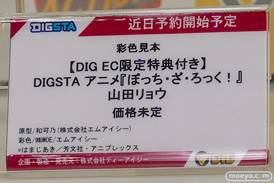 ワンダーフェスティバル2026 [夏]  フィギュアDIG ディーアイジー アリシア 後藤ひとり アスナ 13