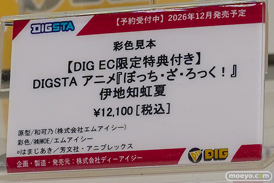 ワンダーフェスティバル2026 [夏]  フィギュアDIG ディーアイジー アリシア 後藤ひとり アスナ 17