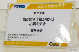 ワンダーフェスティバル2026 [夏]  フィギュアDIG ディーアイジー アリシア 後藤ひとり アスナ 42