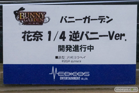 ワンダーフェスティバル2026 [夏]  フィギュア ホビーメーカー合同展示商談会2026夏 メディコス・エンタテインメント バニガーデン 花奈 逆バニーVer. 片桐ヨウヘイ 15