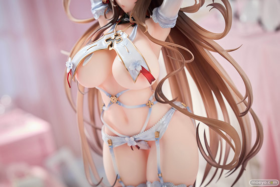 アルファマックス シノビマスター 閃乱カグラ NEW LINK 鴇 ~抱き枕 Ver. ~ AXIA Lilan フィギュア 09