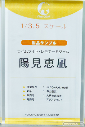 秋葉原の新作フィギュア展示の様子 フィギュア ボークスホビー天国2 月村手毬 陽見恵凪 12