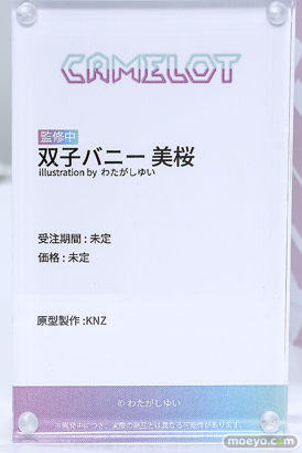 ワンダーフェスティバル2026 [夏]  フィギュア キャストオフ エロ CAMELOT 双子バニー 美桜 illustration by わたがしゆい KNZ 15