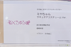のくちゅるぬ かえぬこ氏オリジナルキャラクター ミヤちゃん サキュチアコスチューム Ver. 21