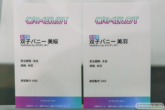 CAMELOT CAPSULE COLLECTION vol.1 エロ フィギュア キャストオフ 冬風冷奈 巫女 Ver. illustration by あれっくす 褐色サキュバスちゃん リナ 27