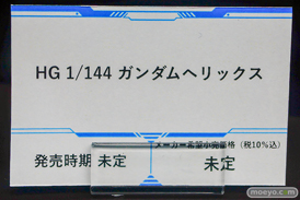 フィギュア 東京ゲームショウ2026 ガンプラ ガンダムZERO ガンダムヘリックス HG 22