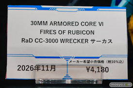 フィギュア 東京ゲームショウ2026 カプコン コエテク モンハン ライザ 16