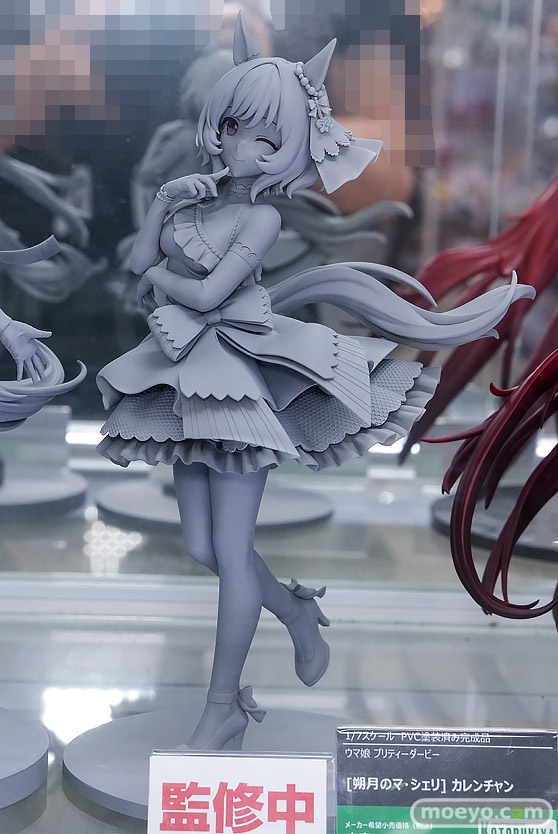 秋葉原の新作フィギュア展示の様子 2026年10月17日 たまちゃん先生 マチカネタンホイザ アルベド 16