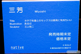 第14回 ネイティブグループ合同展示会（エロホビ） エロ フィギュア キャストオフ 　ネイティブ クレイラドール SAMELAP 三芳 女月かえで シスターver. （へっぽこ）女戦士 06