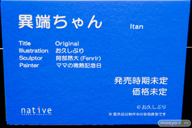 第14回 ネイティブグループ合同展示会（エロホビ） エロ フィギュア キャストオフ 　ネイティブ クレイラドール SAMELAP 三芳 女月かえで シスターver. （へっぽこ）女戦士 12