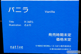 第14回 ネイティブグループ合同展示会（エロホビ） エロ フィギュア キャストオフ 　ネイティブ クレイラドール SAMELAP 三芳 女月かえで シスターver. （へっぽこ）女戦士 19
