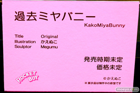 第14回 ネイティブグループ合同展示会（エロホビ） エロ フィギュア キャストオフ  ロケットボーイ 浦川由香 エレオノール 服従の淫魔 イルヴァ 11