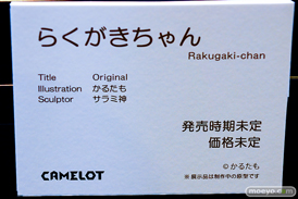 第14回 ネイティブグループ合同展示会（エロホビ） エロ フィギュア キャストオフ Pink-Cat CAMELOT 泡抹姫パイナ 黒羽さき しずくちゃん 39