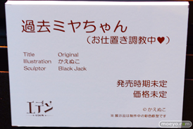 第14回 ネイティブグループ合同展示会（エロホビ） エロ フィギュア キャストオフ エデン ケイメイズ 女月くるみ 過去ミヤちゃん 椎名千鶴 06