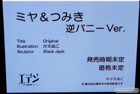 第14回 ネイティブグループ合同展示会（エロホビ） エロ フィギュア キャストオフ エデン ケイメイズ 女月くるみ 過去ミヤちゃん 椎名千鶴 12
