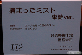 第14回 ネイティブグループ合同展示会（エロホビ） エロ フィギュア キャストオフ エデン ケイメイズ 女月くるみ 過去ミヤちゃん 椎名千鶴 33
